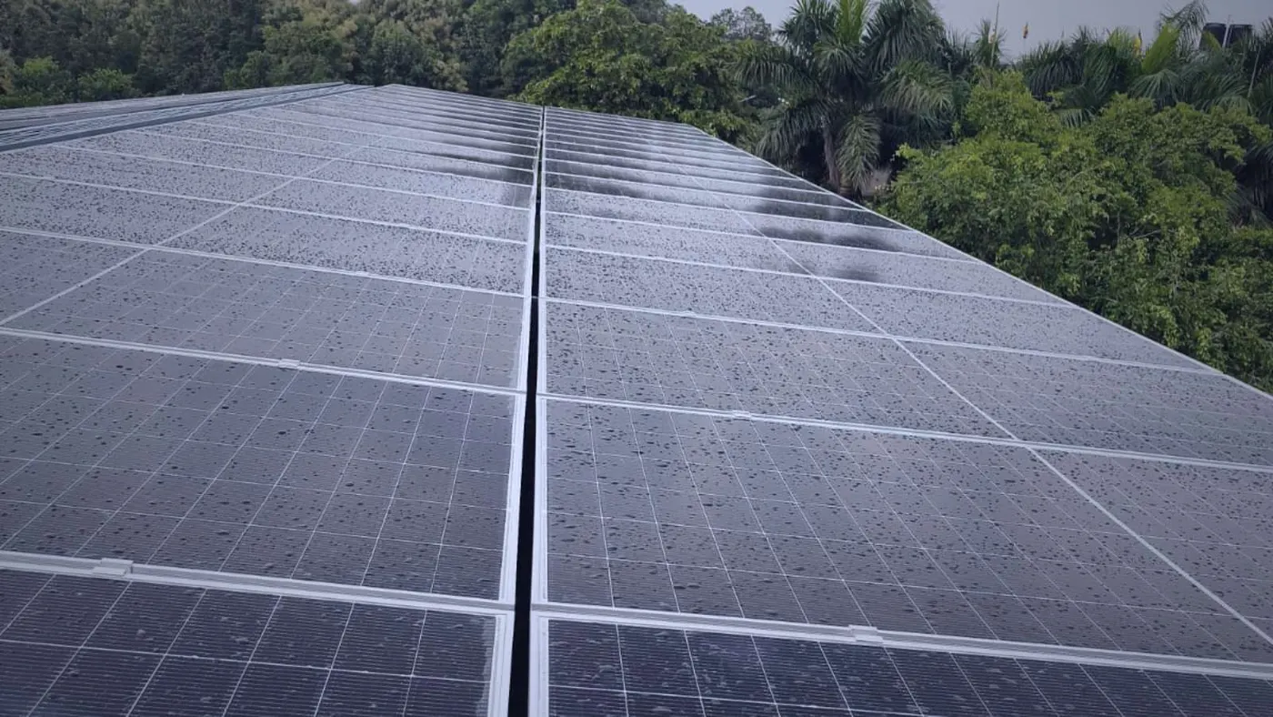 Rows of solar modules running down a commercial roof toward a tree line, showing the scale of a full array bay by bay